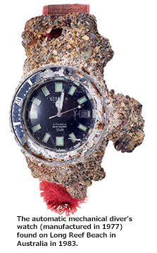 « Challenge Diver » a été repêché par un plongeur sur les côtes de Long Beach en Australie. C’est avec un grand étonnement que le plongeur constate que la montre fonctionne toujours, malgré qu’elle soit recouverte entièrement de coquillage. Suite à cette découverte, la montre est surnommé « Fujitsubo »